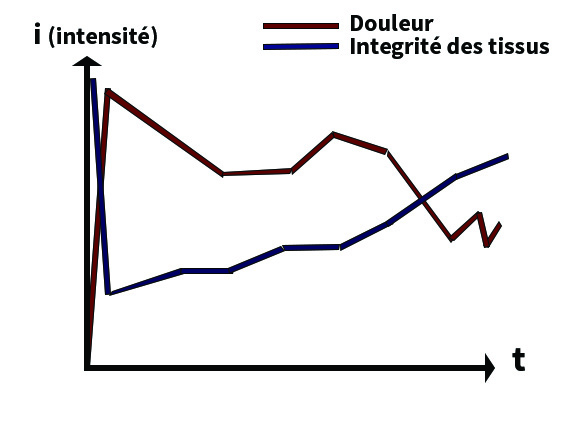 Evolution entre douleur et réparation tissulaire, graphique
