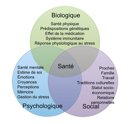 le modèle psychosocial