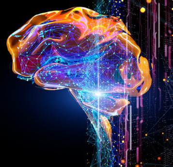 Représentation digitale du cerveau