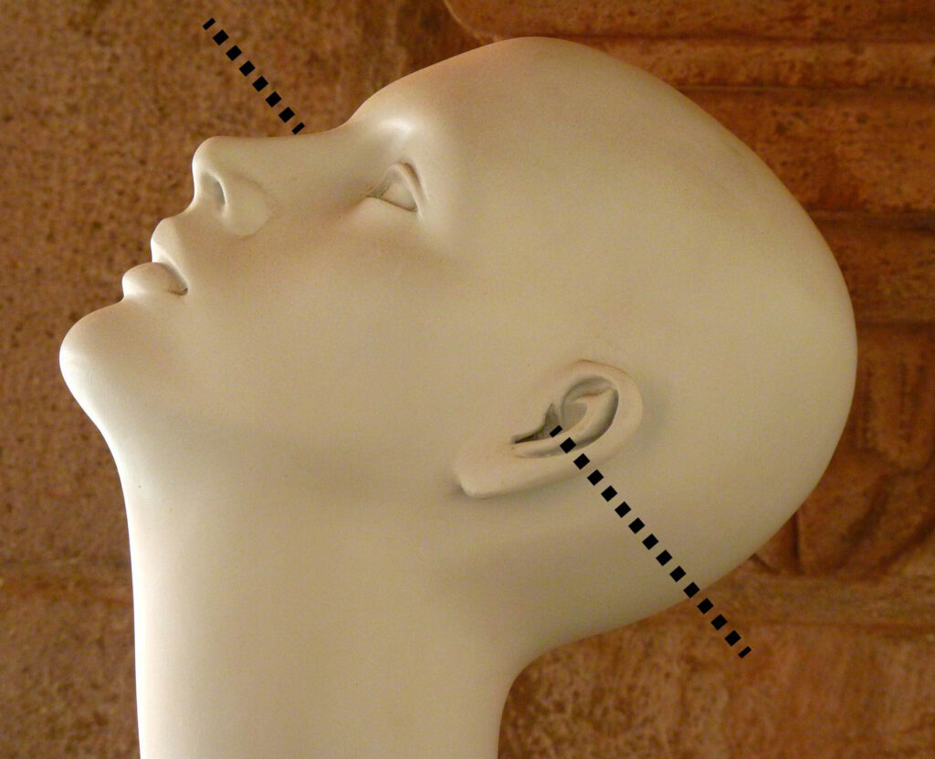 L'axe de la tête passant par les deux oreille sur un mannequin