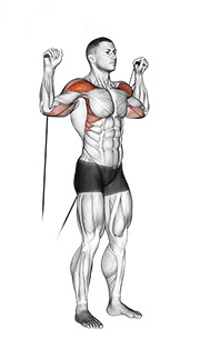 Développé d'épaules avec élastiques de musculation
