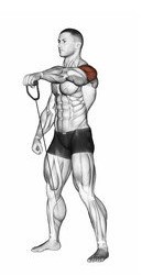 Flexion d'épaule avec Élastiques de musculation