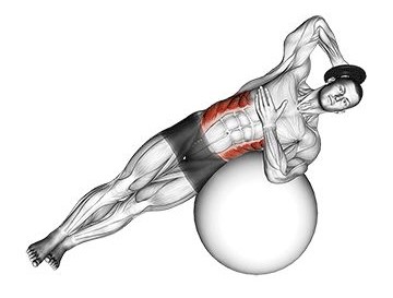 Relevés de buste sur ballon de gymnastique