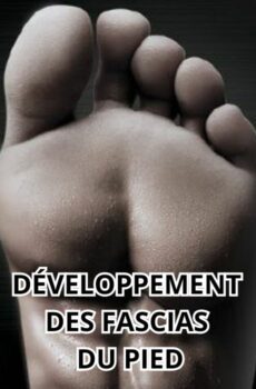 Développement du Fascia Plantaire. Programme vidéo personnalisé