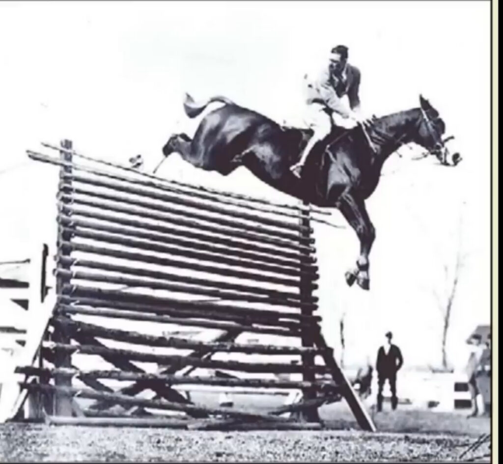 Traiter une tendinopathie - un record de hauteur d'un cheval sautant une haie 